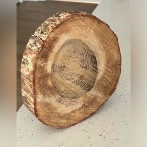 Natural Wood Slice Centerpiece - Rustic Round Log Slice